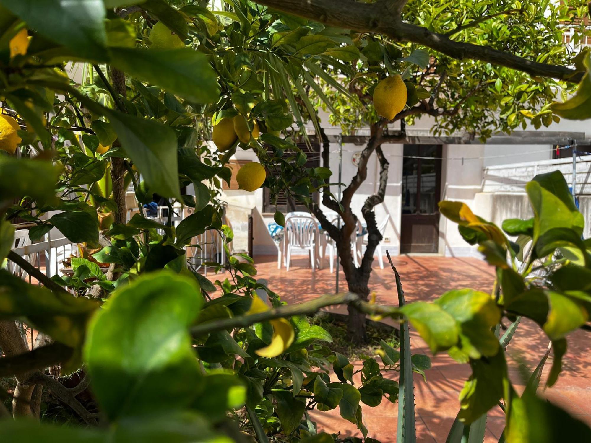 Appartement Casa Ciccio à San Vito Lo Capo Extérieur photo